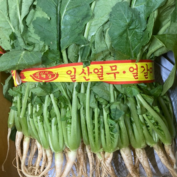 [소중한식사] 국내산열무물김치 2kg